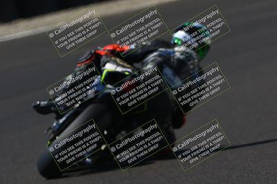 media/Sep-07-2025-CRA (Sun) [[6d6582c22b]]/Race 8/